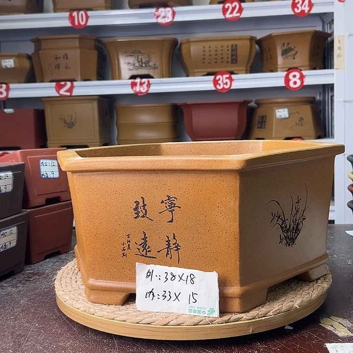 紫砂花盆蛇年大吉