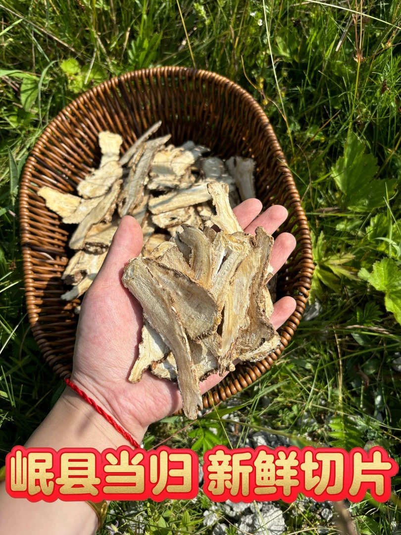 甘肃岷县精选高品质当归中片可煲汤炖肉泡水煮水黄芪产地直销甘肃