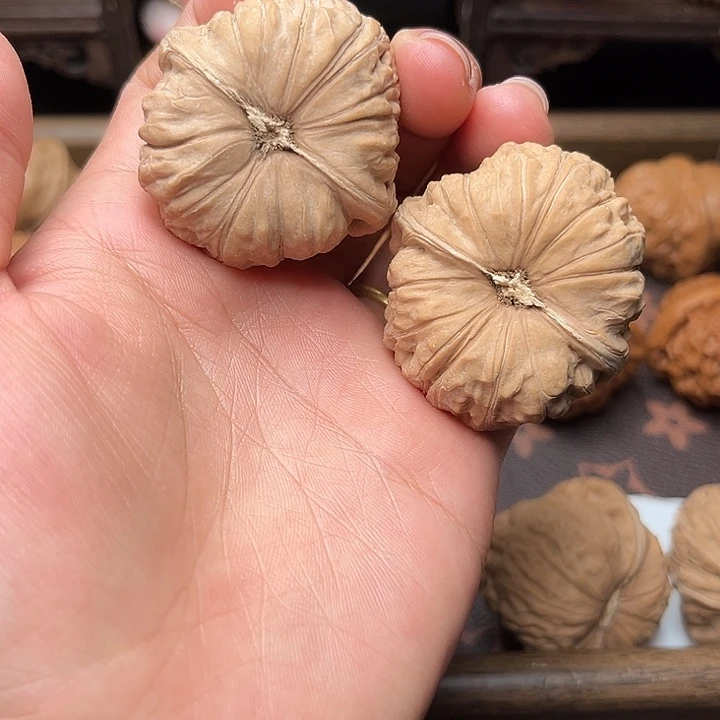 核桃41全品南瓜墩4223