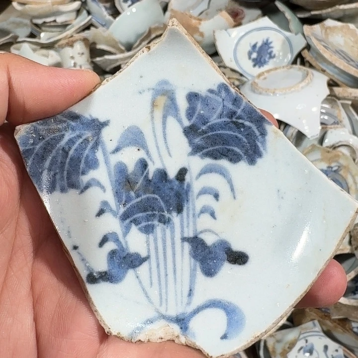 瓷片瓷片标本，顺丰包邮