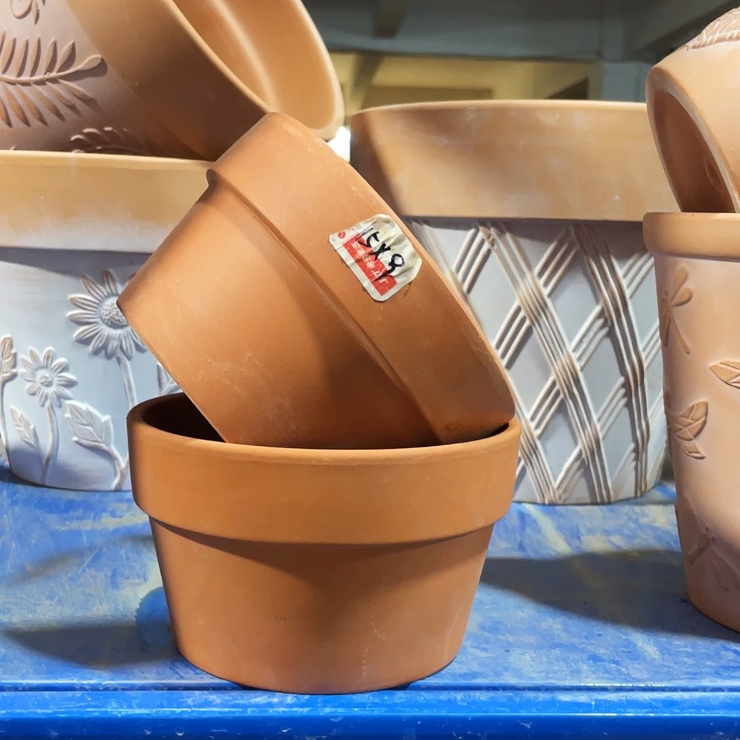 口15×9     红陶国际矮盆发2