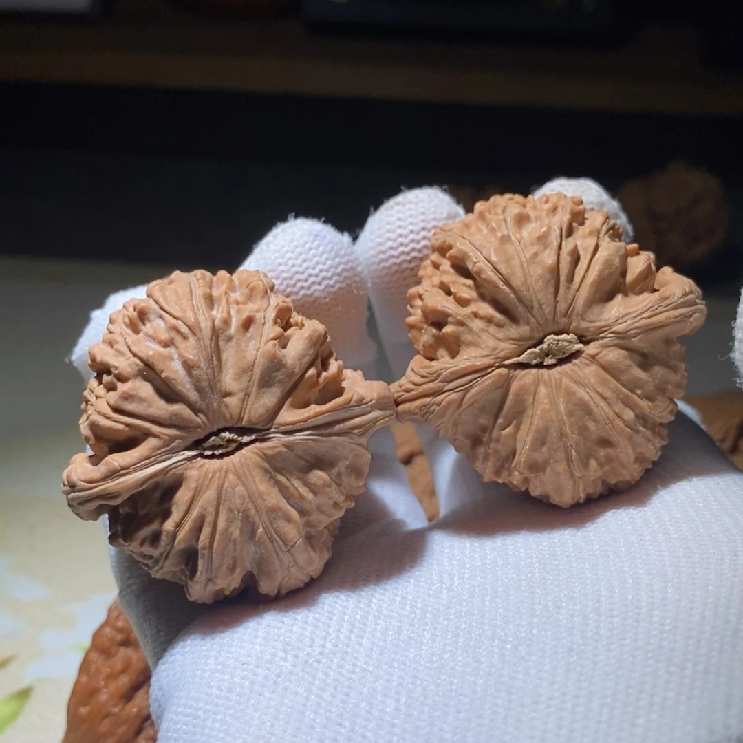 文玩核桃把件y****心白狮子42