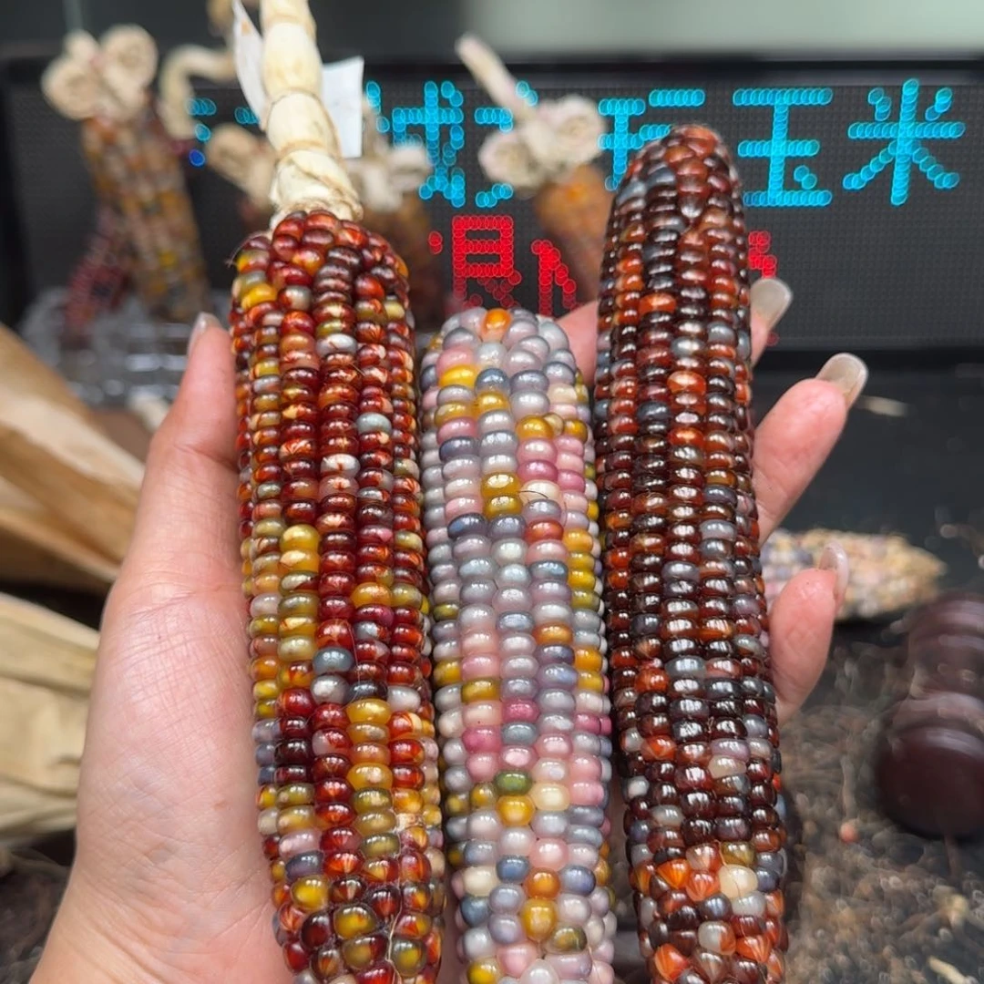 柏香籽/百香籽吊坠7