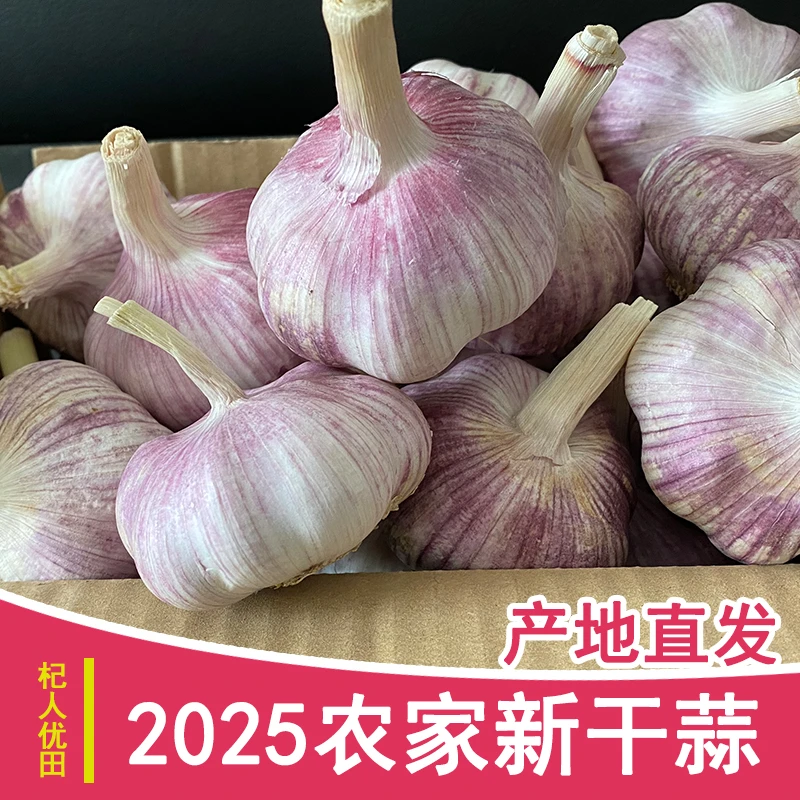【特大果9斤】农家5斤2025新干蒜紫白皮大蒜产地直发大蒜头大蒜5斤