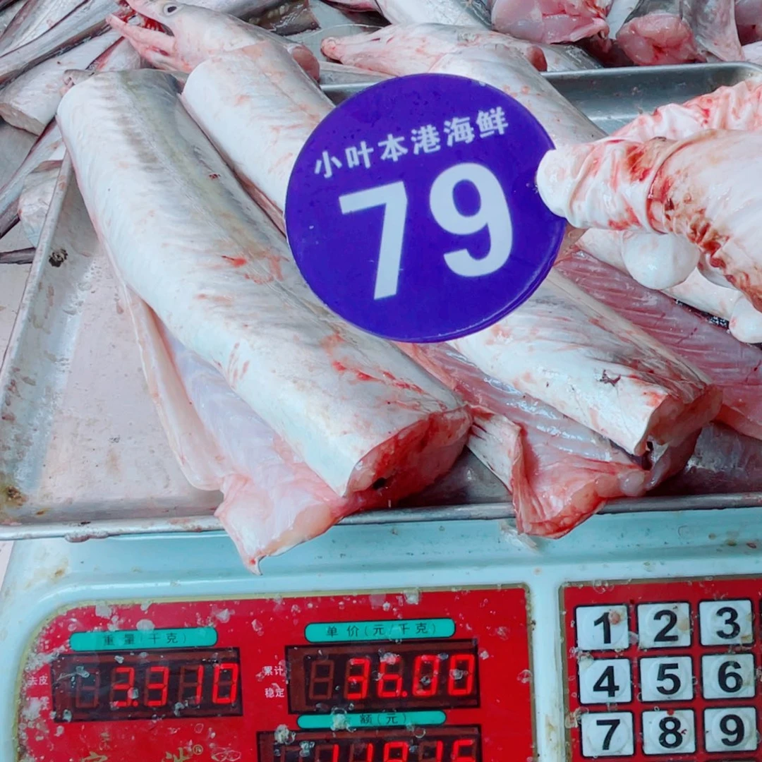 中国大陆野生鳗鱼