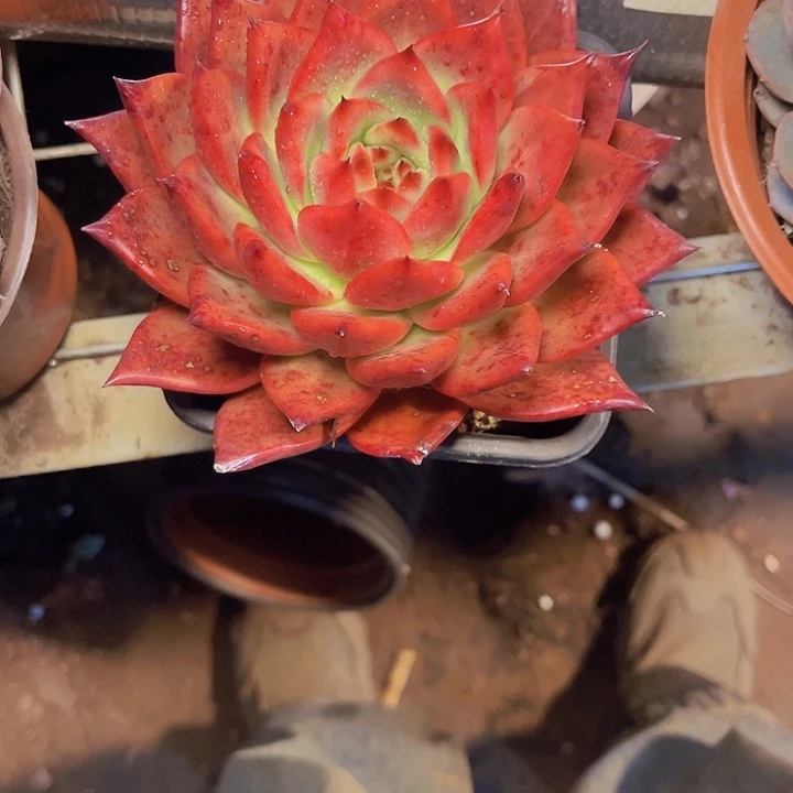青***室我想说我们两年多前还没有