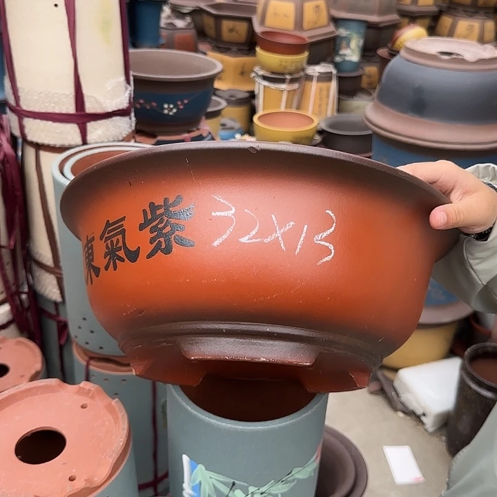 小红花盆花盆花盆花盆