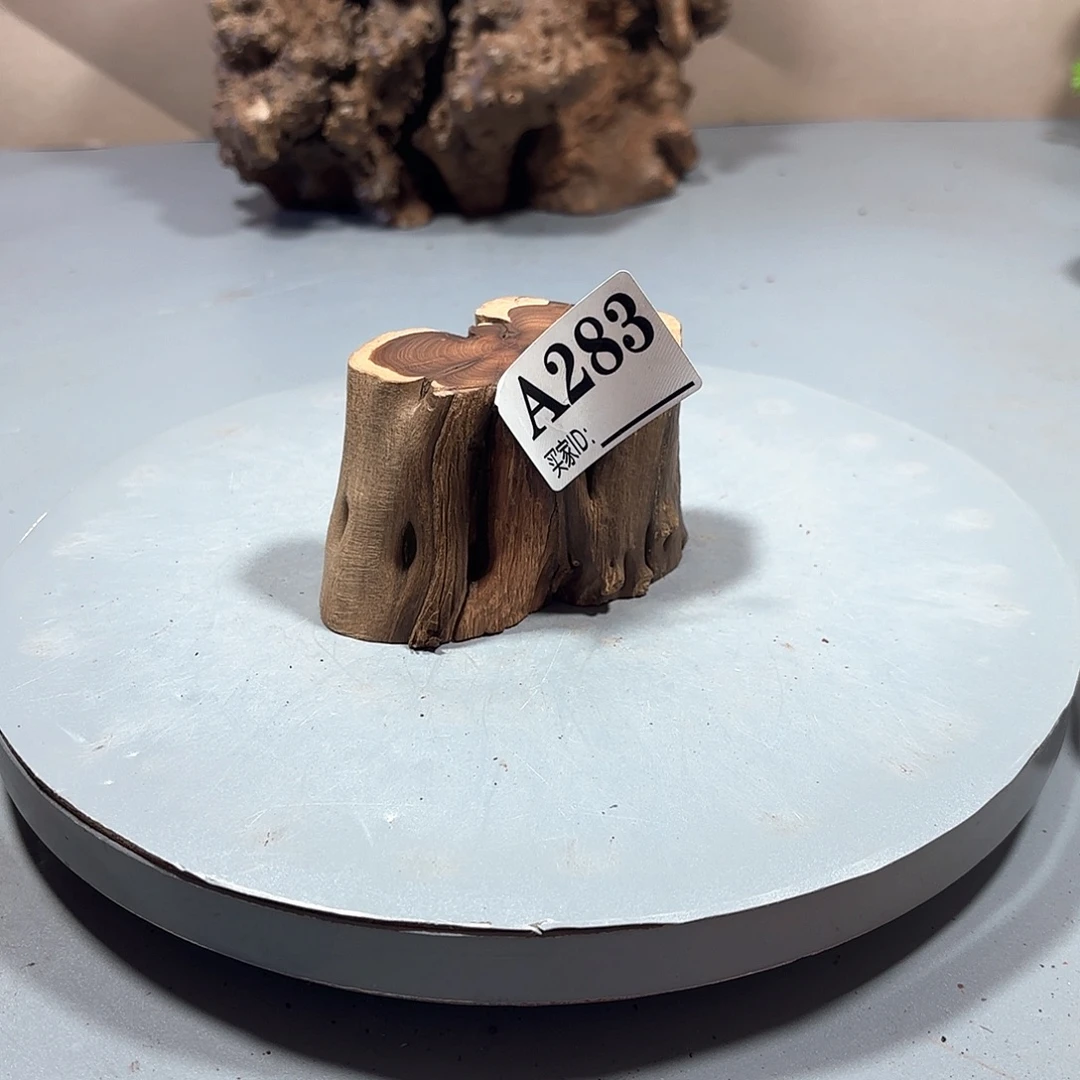 y***g大果紫檀（缅甸花梨）