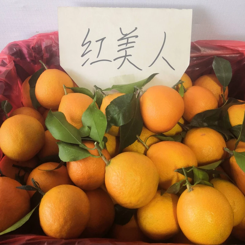 正宗临海红美人蜜桔涌泉桔子皮薄多汁大棚红美人橘子新鲜水果柑橘