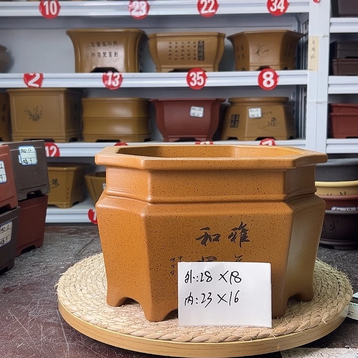 花盆紫砂蛇年大吉