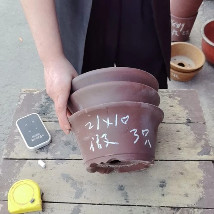 张张开播啦！宜兴紫花盆。