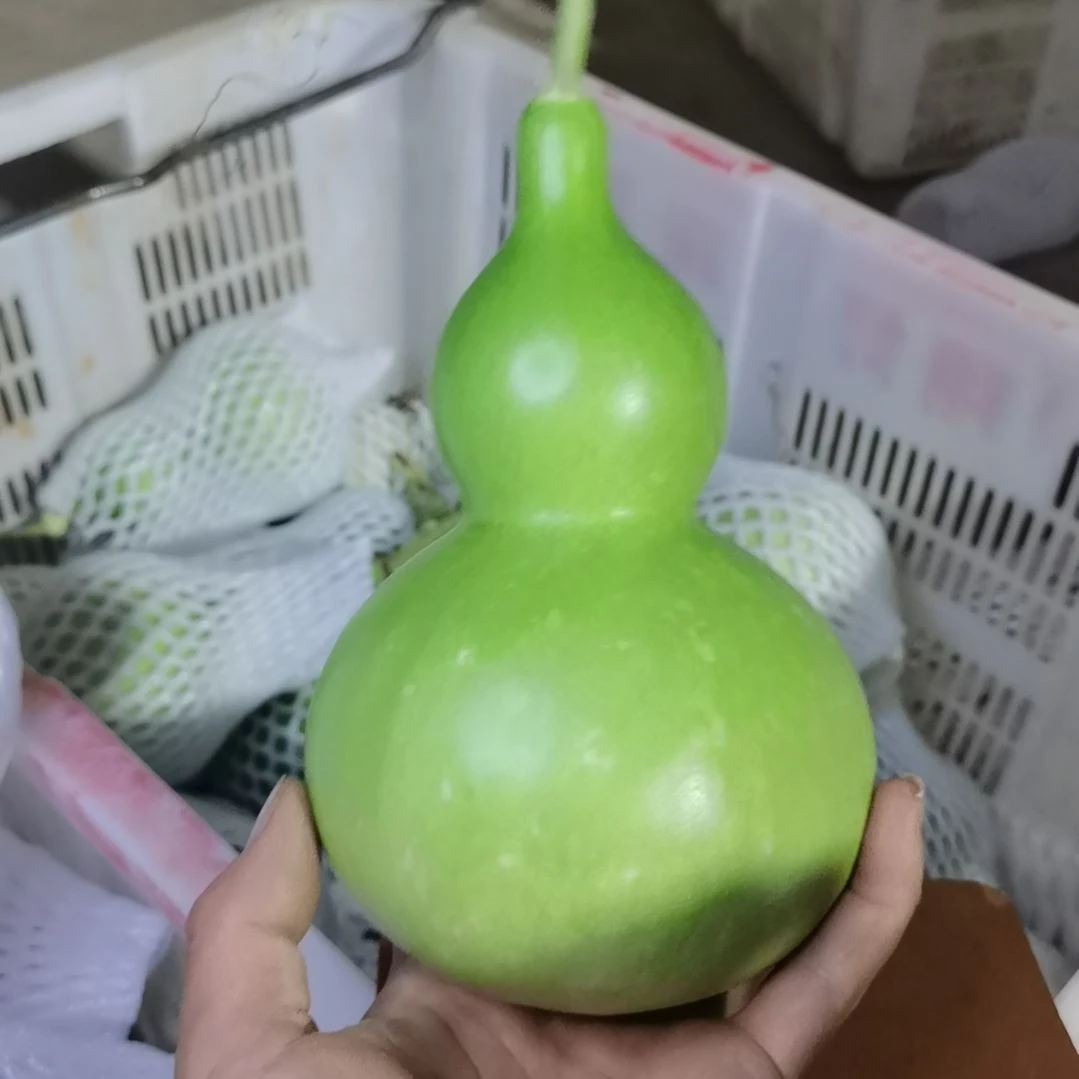 氮***泵木葫芦摆件家庭摆件