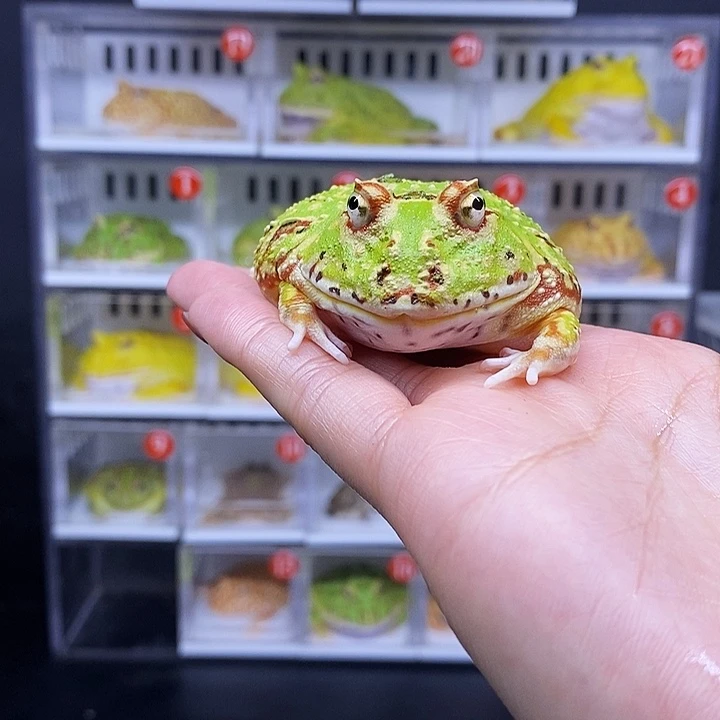 特价秒杀一切顺利