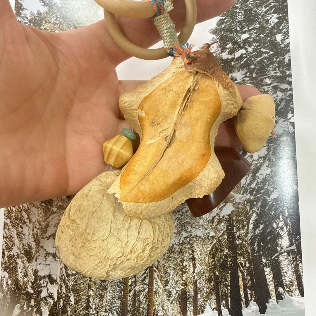 天然果壳满愿果壳风铃汽车挂件饰品尼黑果壳手摇铃包包挂件钥匙扣