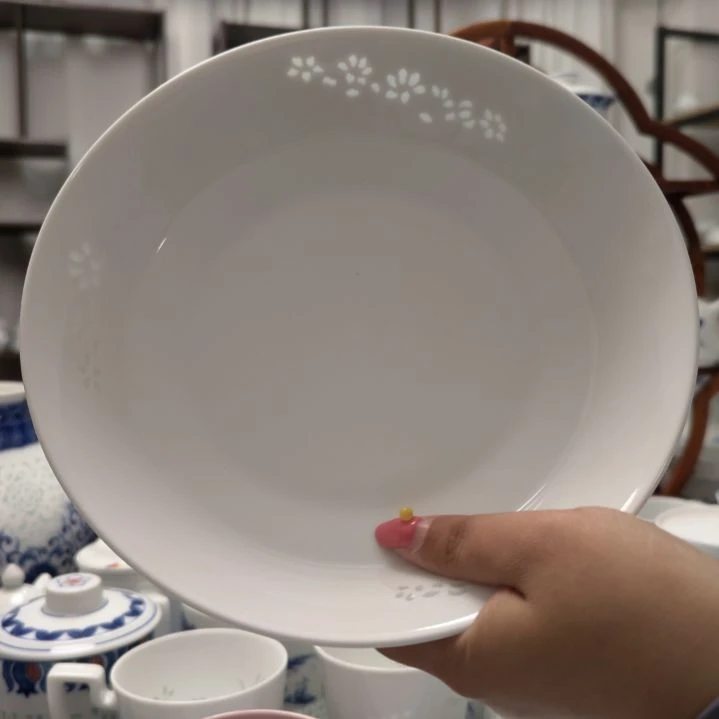 陶瓷玉兰花10寸大盘一个