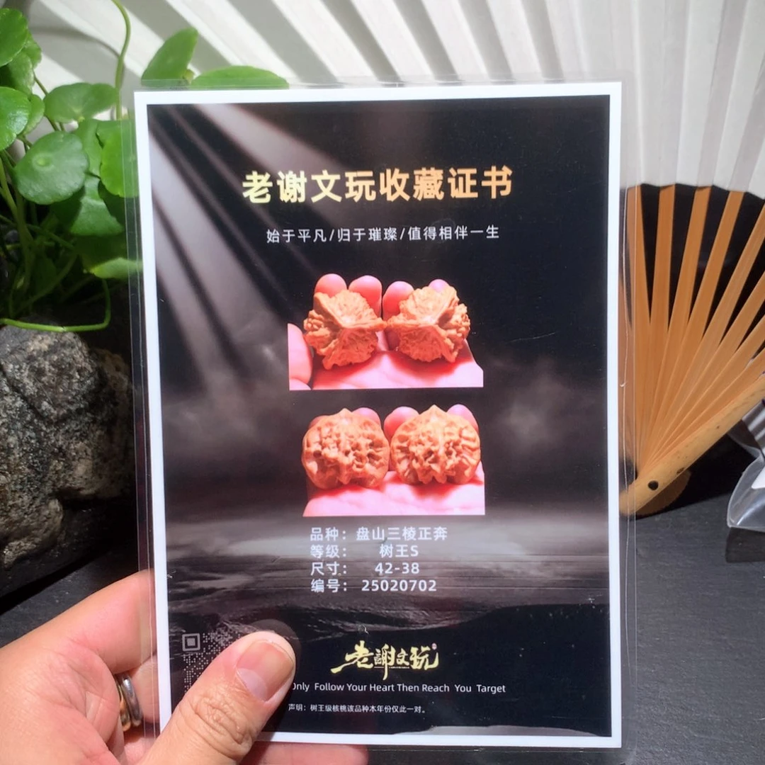 文玩核桃吊坠鱼的盘山三棱树王020702