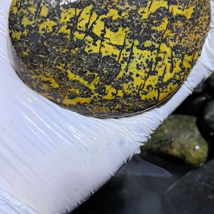 *****藏玉药王石原石一个