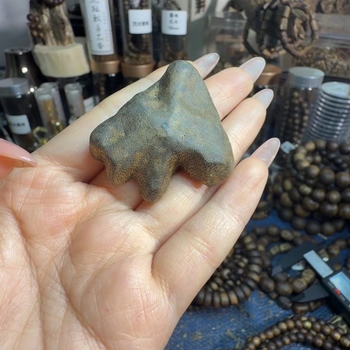 沉香碎屑沉香包头子原母树