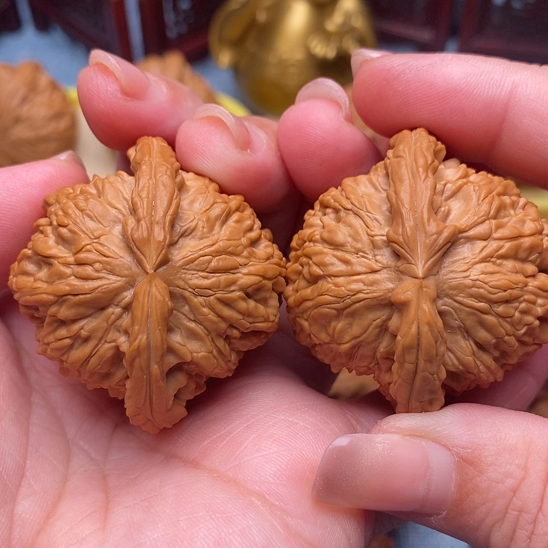 文玩核桃把件44全品绝配白狮子