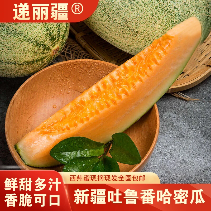 新疆吐鲁番西州蜜哈密瓜皮薄脆甜多汁新鲜采摘当季鲜果产地直发