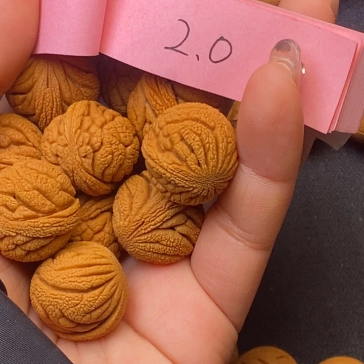 秦岭龙纹桃核13颗