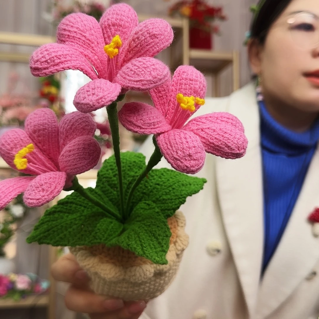 手工钩织制作盆栽