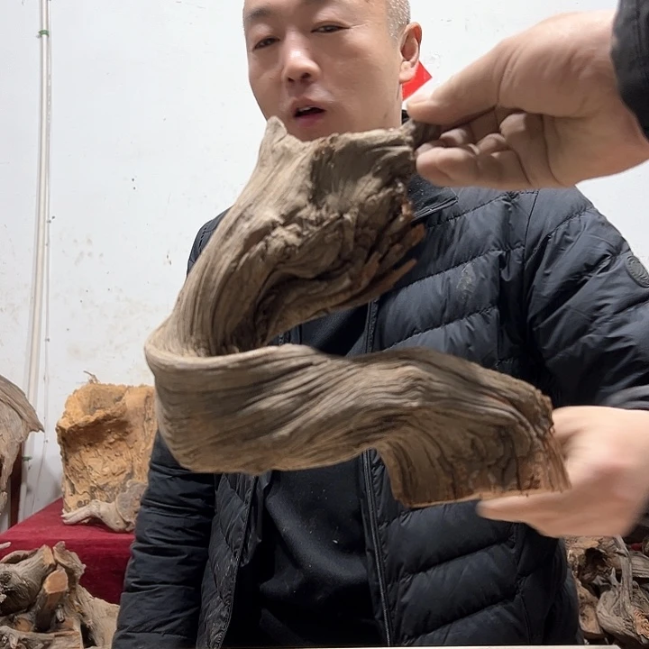 柏木快*我们的生活也是如此