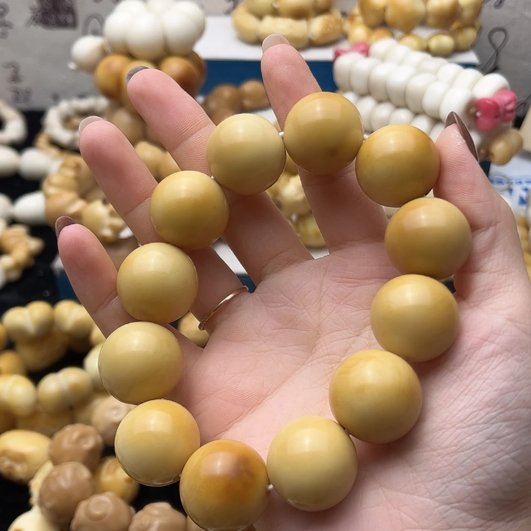 吊坠菩提根/象牙果