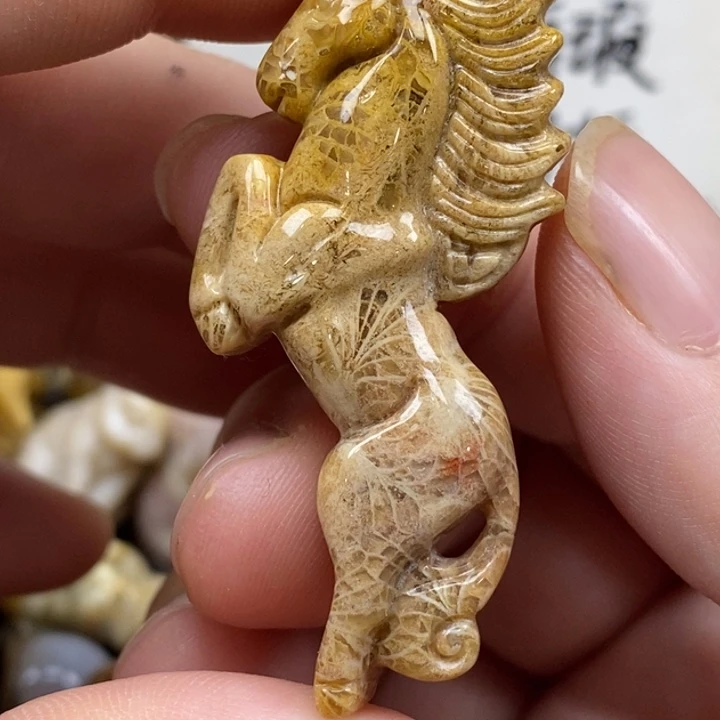 硅化珊瑚（珊瑚玉）未镶嵌颈饰