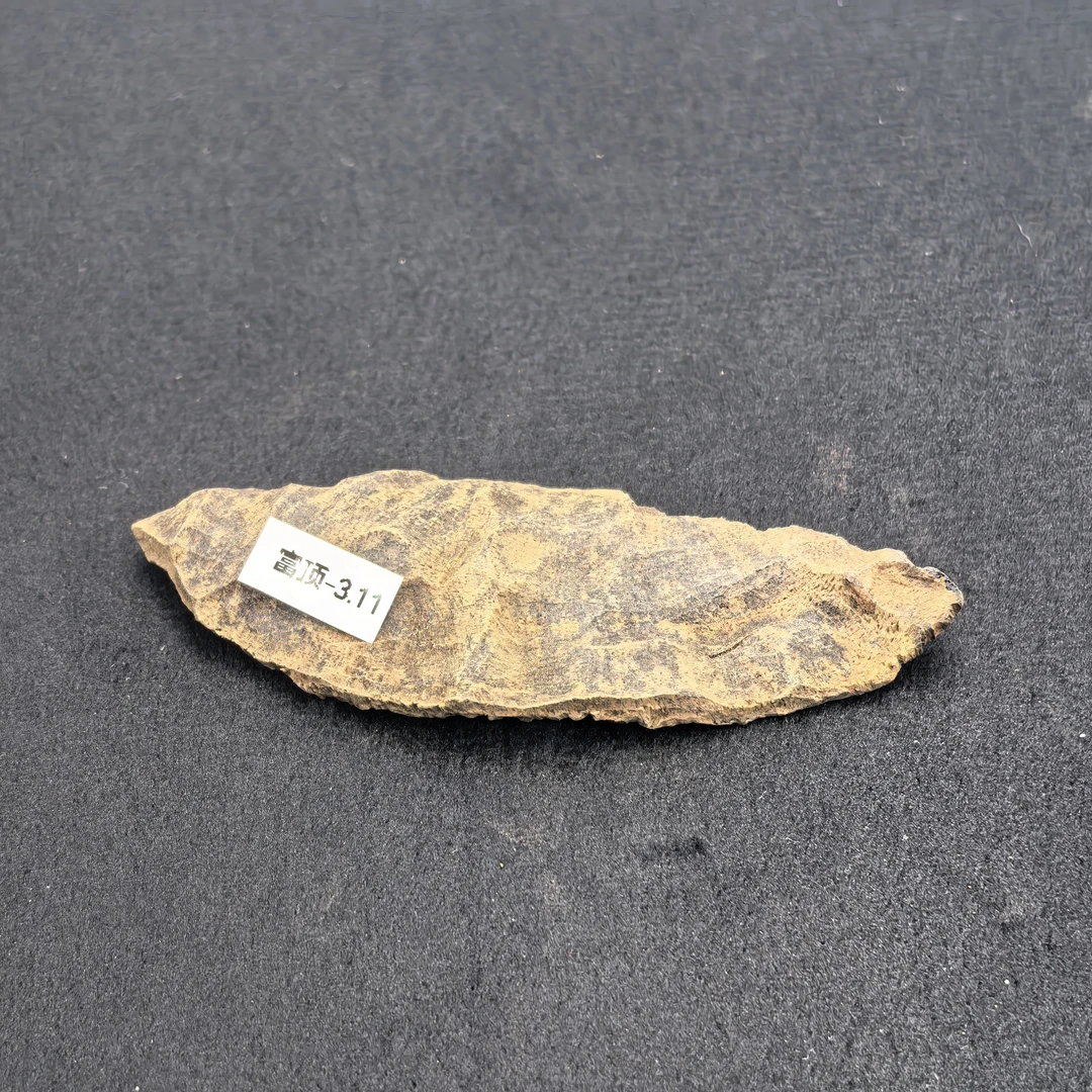 重约3.11克 250212富顶/85（料）天然木艺