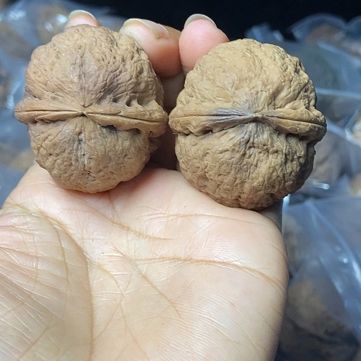 文玩核桃把件云南铁核桃基地41