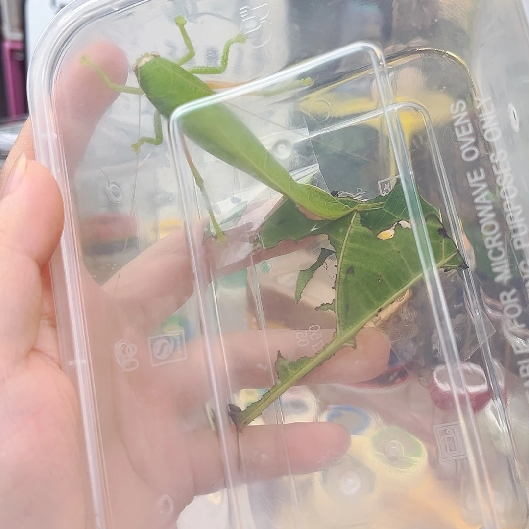 拍全品冠脉拍拍拍