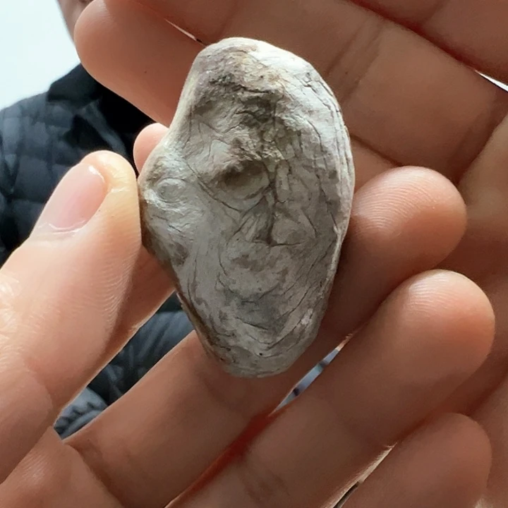 柏木空*我们的生活也是