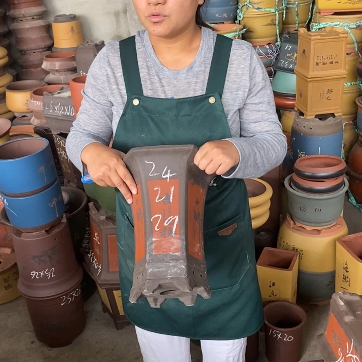 紫砂花盆盆栽花卉苗木种植