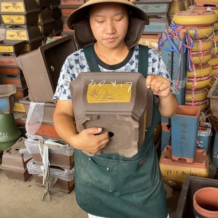 紫砂花盆盆栽花卉苗木种植