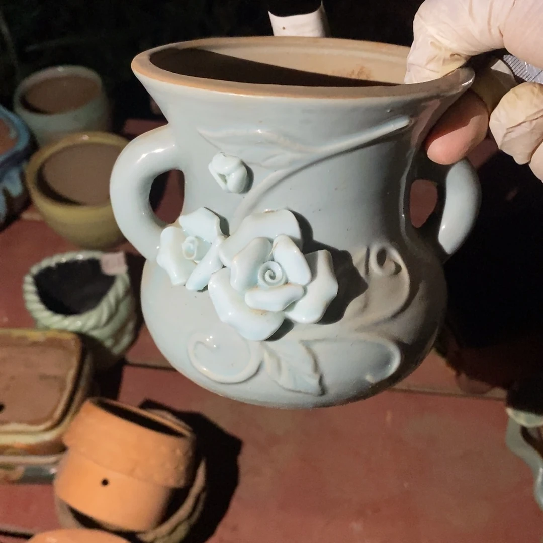 红陶滋*1827号多肉盆一个呀