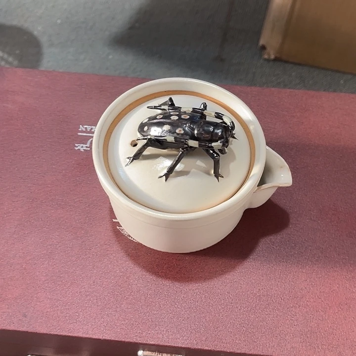 下播福利炸炸炸炸炸
