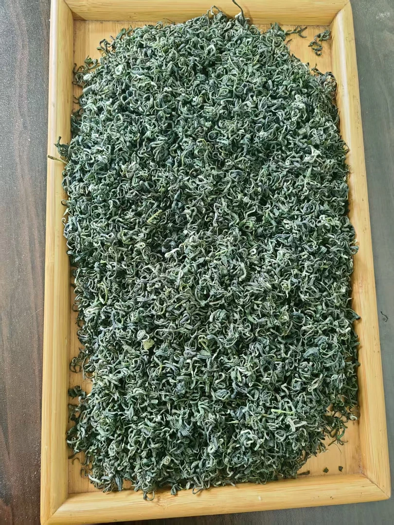 【2025新茶】贵州高山云雾绿茶   都匀毛尖   明前一芽一叶   栗香