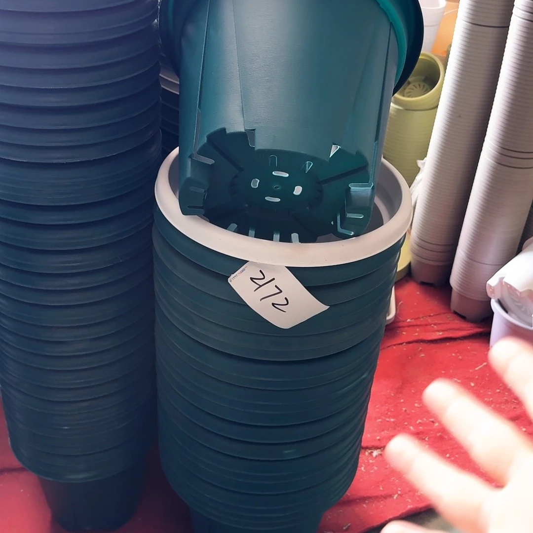 编号2172发5个无拖