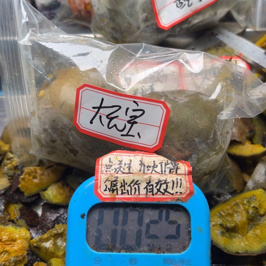 大***子法国和健健康康哭没你年纪