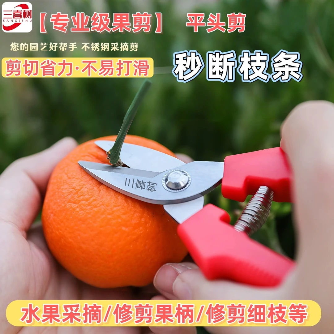 SK5钢三喜树采果剪家用柑橘农用花艺省力绿化修花树剪