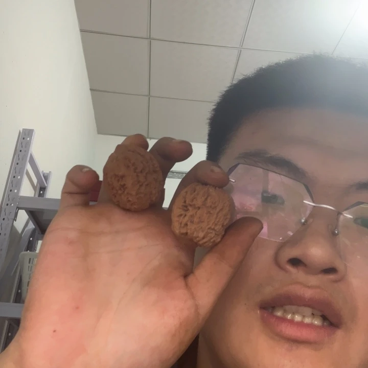 文玩核桃吊坠?****定12核桃