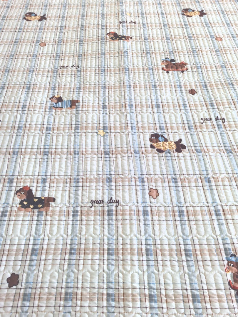 【蓝格狗狗】秋冬四季多功能加厚床盖