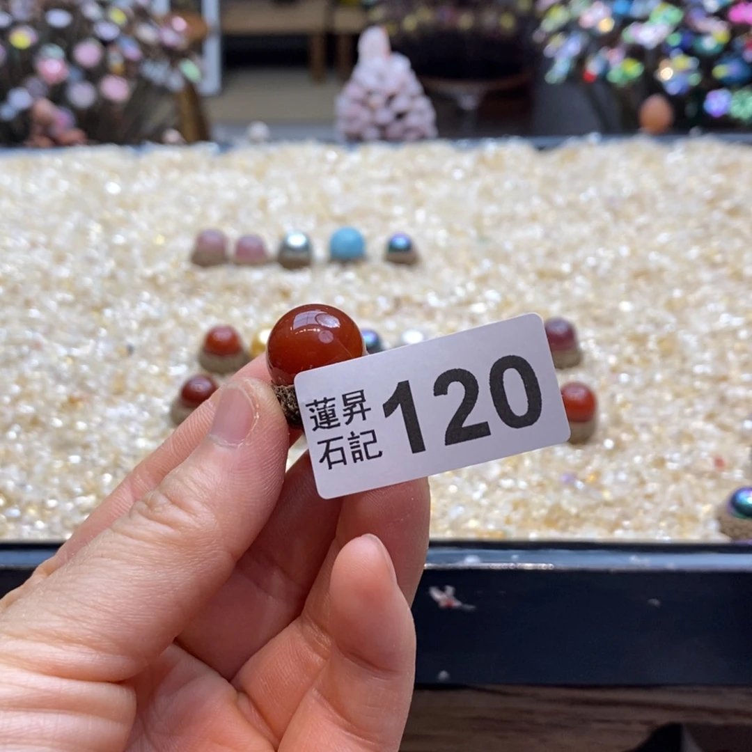 核桃木/黑胡桃（胡桃木）安****子120