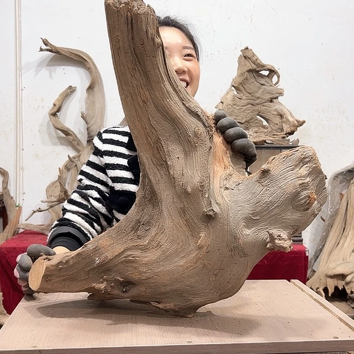 柏木叫****卡我们都是好孩子