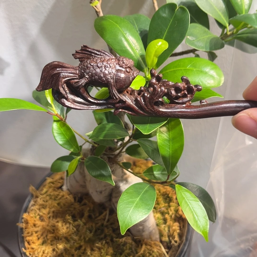 小叶紫檀檀香紫檀如鱼得水茶针/发簪多用款