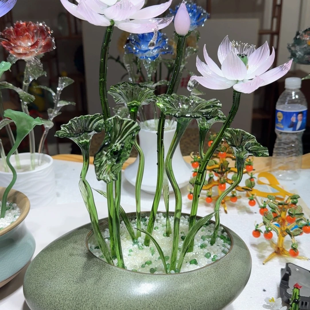 琉璃琉璃荷花666666
