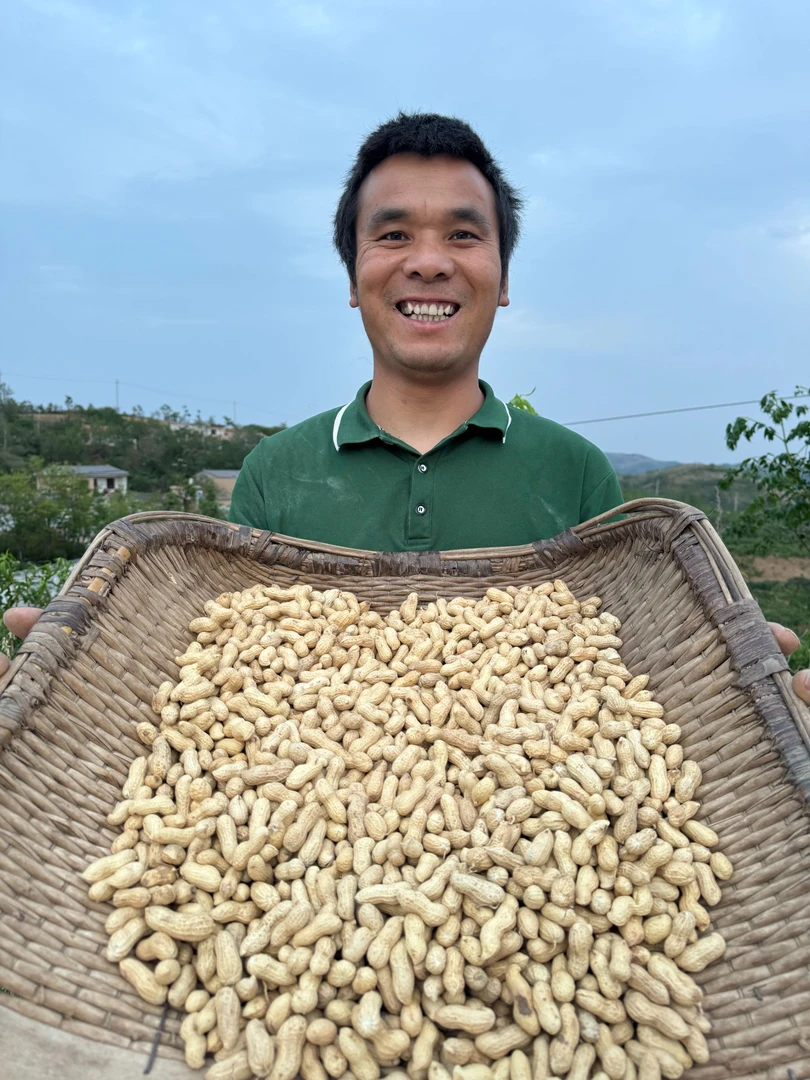 （大壮代卖）农家自种农产品花生