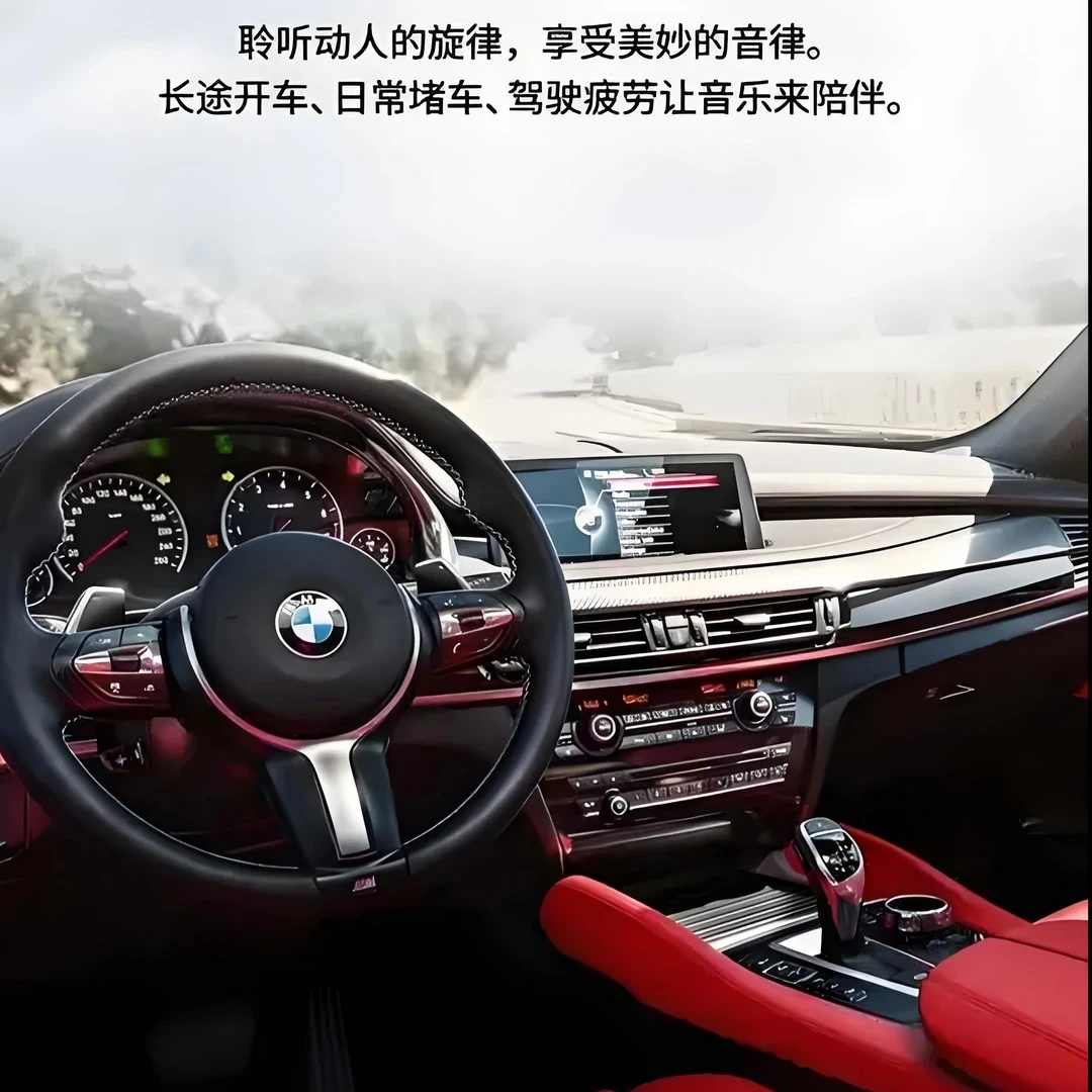2025音乐的海洋，美妙旋律