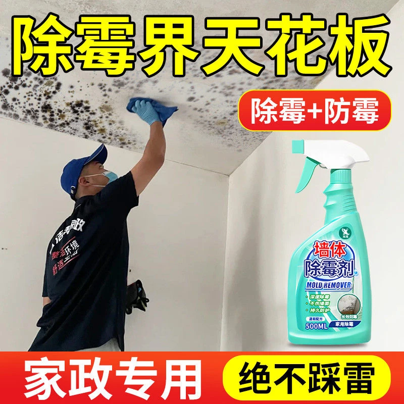 墙体除霉剂墙面除霉菌墙壁防发霉清除剂去霉斑霉菌家用除霉清洗剂